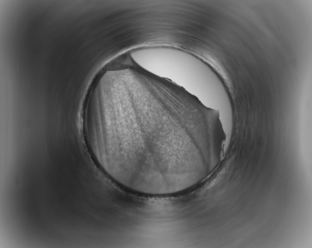 X0000088430944200706121448