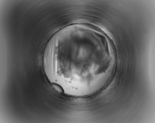 X0000088430945200706121448