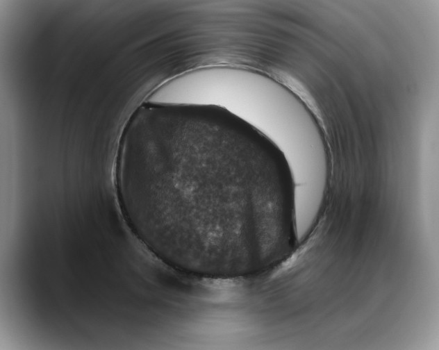 X0000088430946200706121448