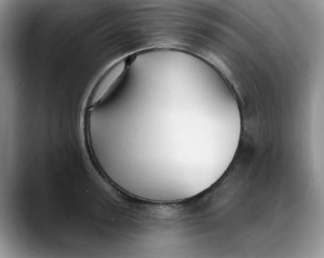 X0000088430947200706121448