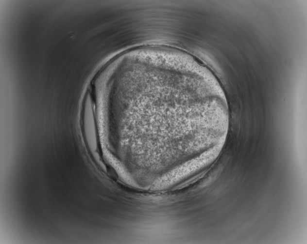 X0000088430948200706121448