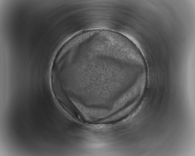 X0000088430949200706121448