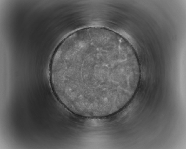 X0000088430950200706121448