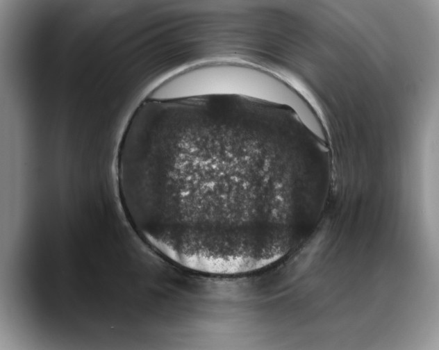 X0000088430951200706121448