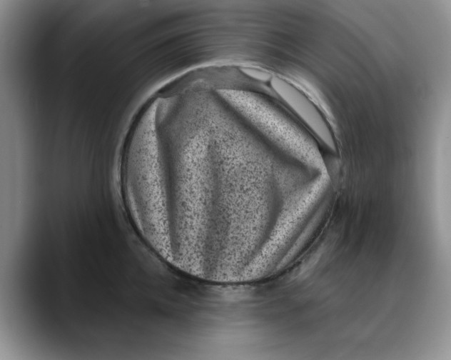 X0000088430952200706121448