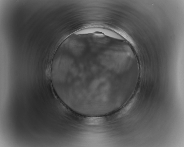 X0000088430953200706121448