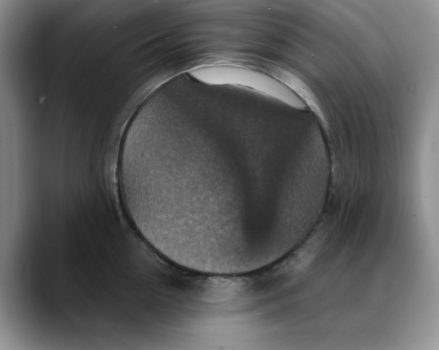 X0000088430954200706121448