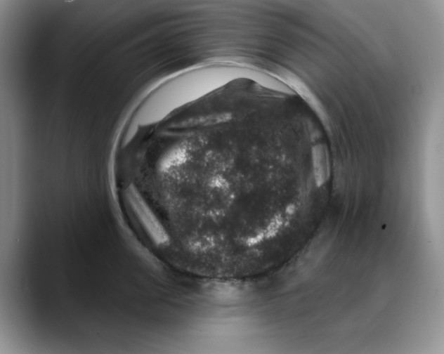 X0000088430955200706121448