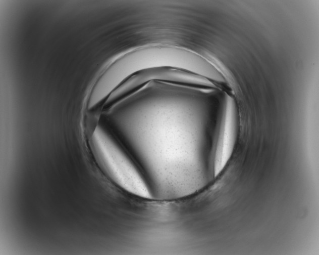 X0000088430956200706121448