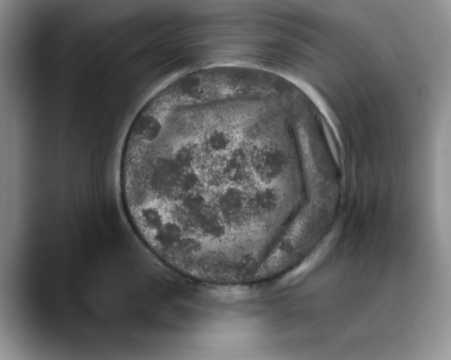 X0000088430957200706121448