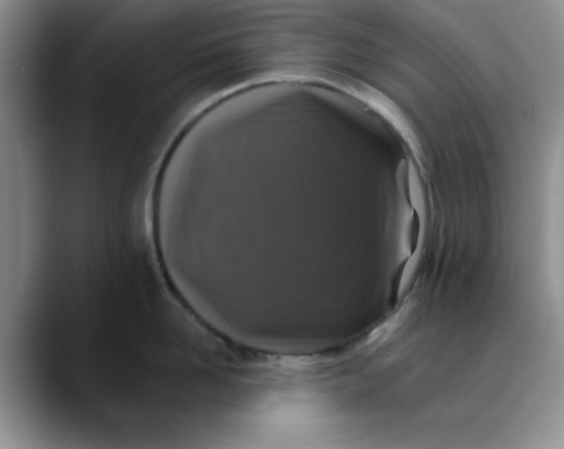 X0000088430958200706121448