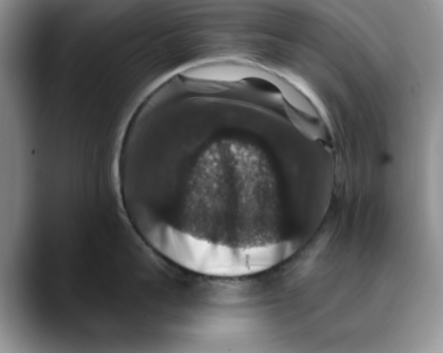 X0000088430959200706121448