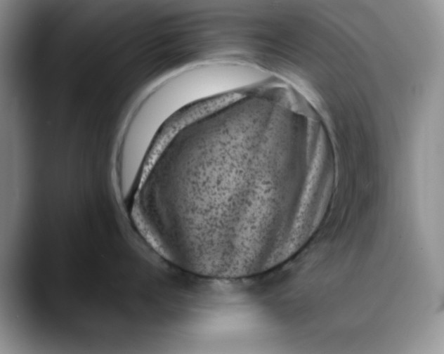 X0000088430960200706121448