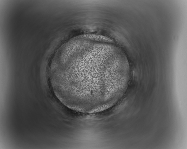 X0000088430961200706121448