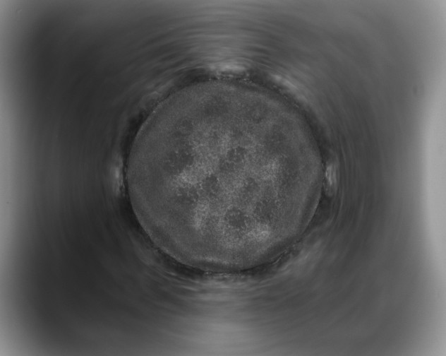 X0000088430963200706121448