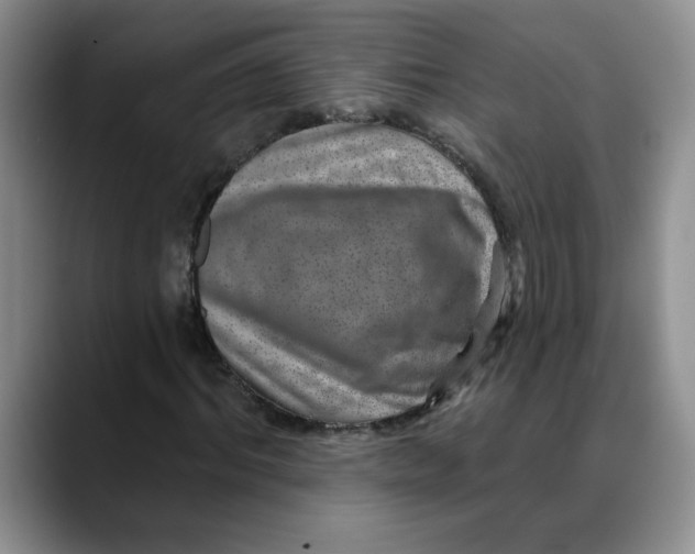 X0000088430964200706121448