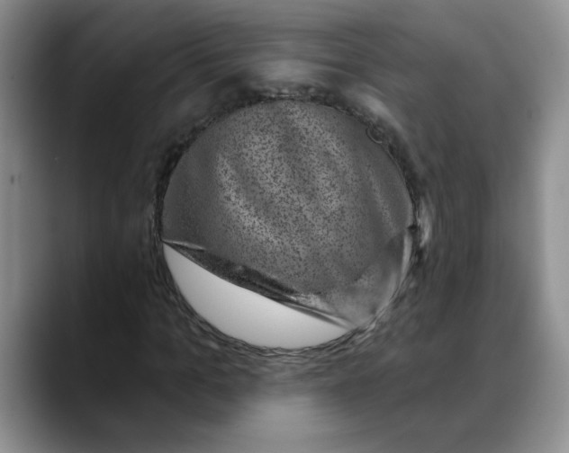 X0000088430965200706121448