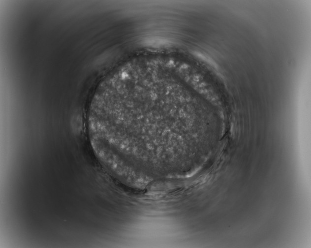 X0000088430966200706121448