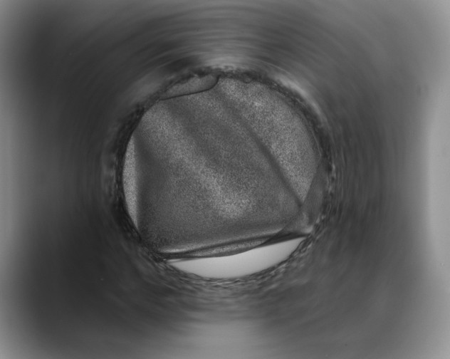 X0000088430968200706121447