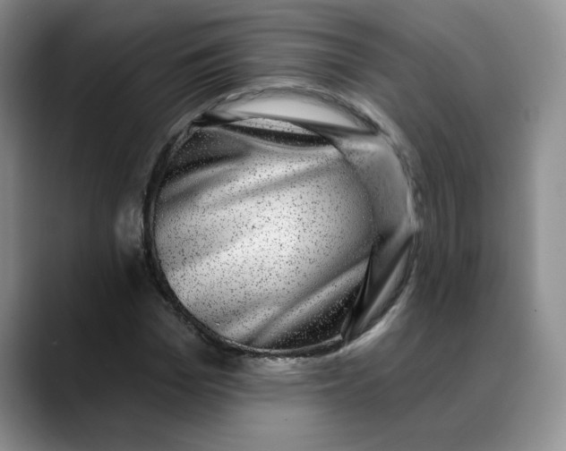 X0000088430969200706121447