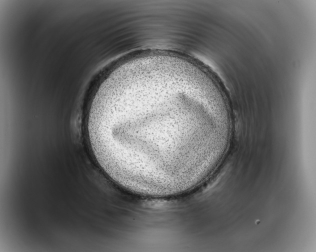 X0000088430971200706121447