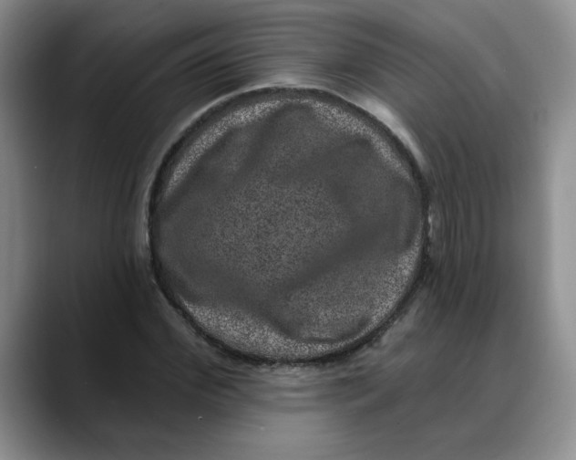 X0000088430972200706121447