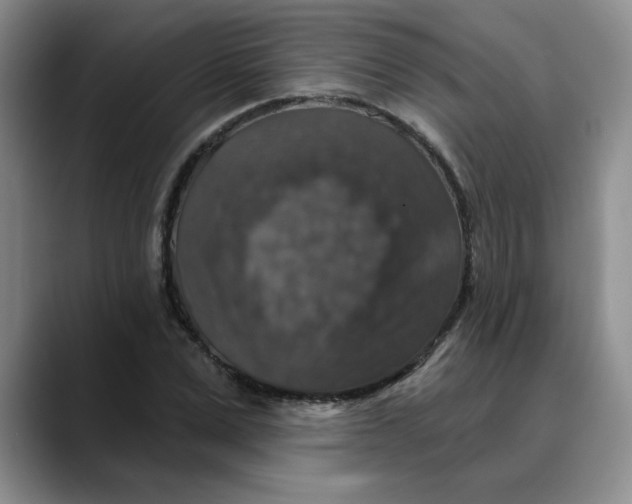 X0000088430975200706121447