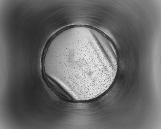 X0000088430980200706121447