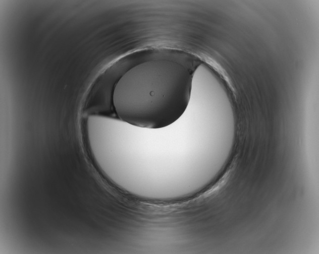 X0000088430981200706121447