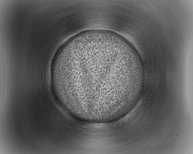 X0000088430982200706121447