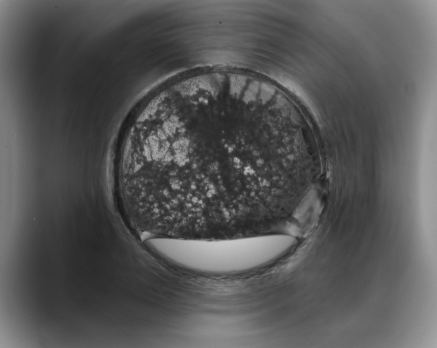 X0000088430983200706121447