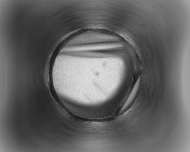 X0000088430984200706121447