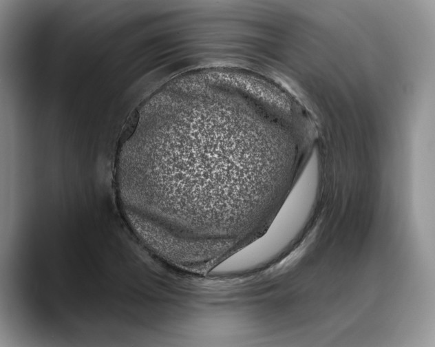 X0000088430985200706121447