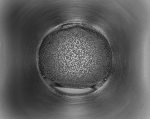 X0000088430989200706121447