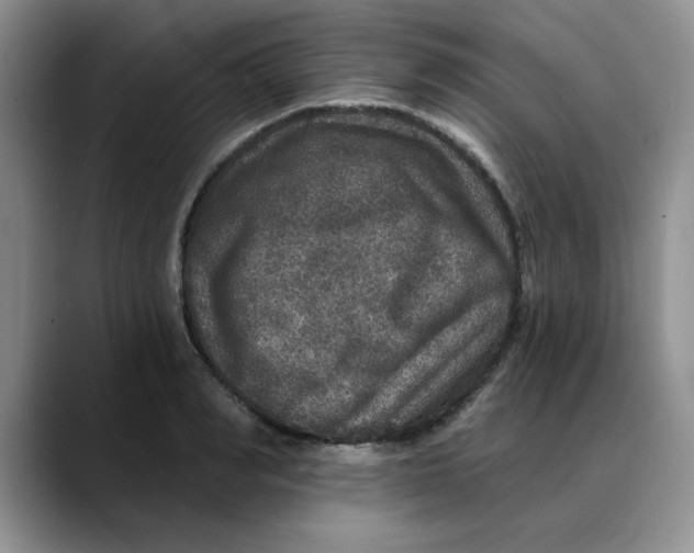 X0000088430990200706121447