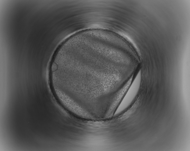 X0000088430991200706121447