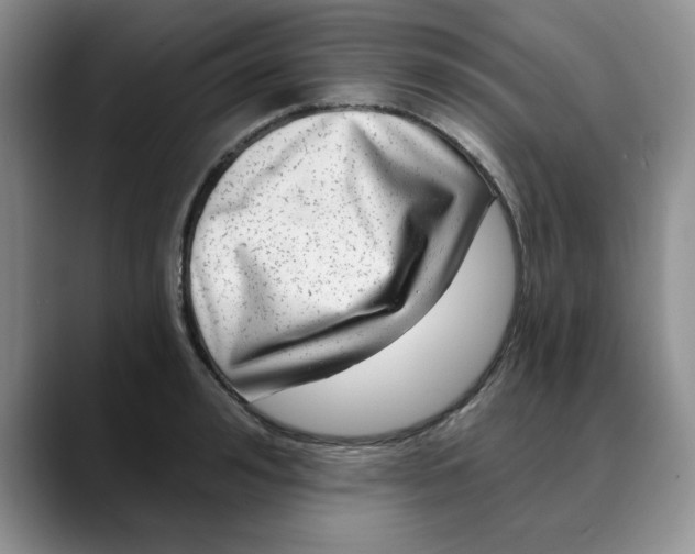 X0000088430992200706121447