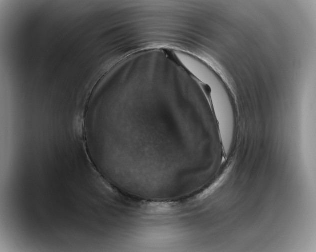 X0000088430993200706121447