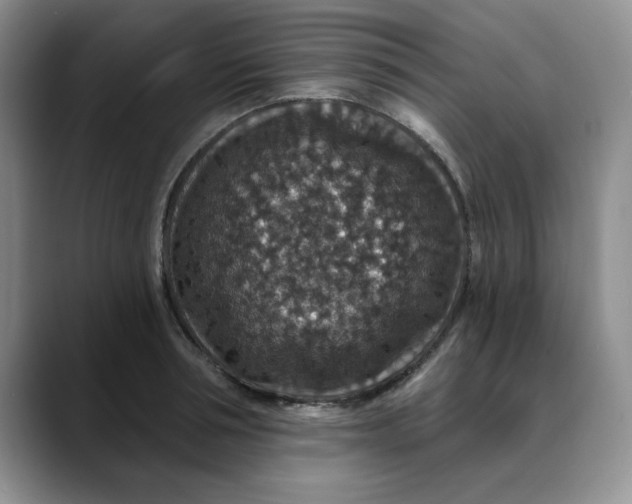 X0000088430994200706121447