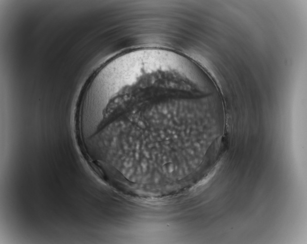 X0000088430995200706121447