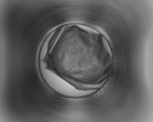 X0000088430996200706121447