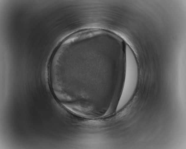 X0000088430998200706121447