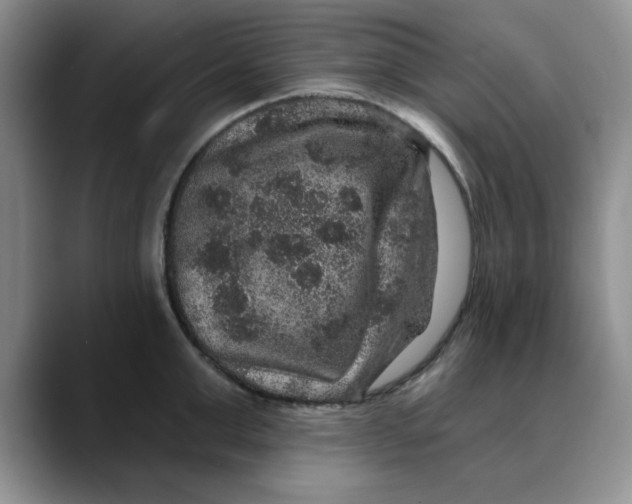 X0000088430999200706121447