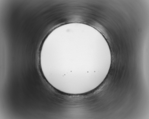 X0000088431000200706121447