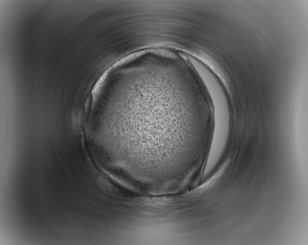 X0000088431001200706121447