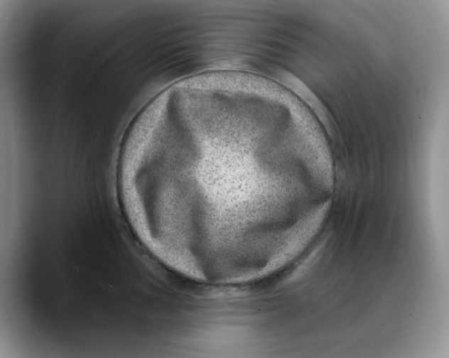 X0000088431002200706121447