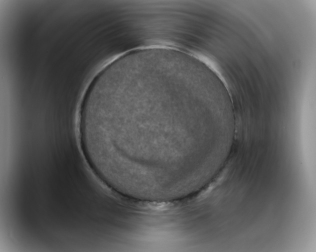 X0000088431003200706121447