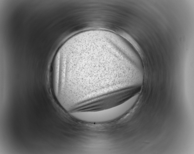 X0000088431004200706121447