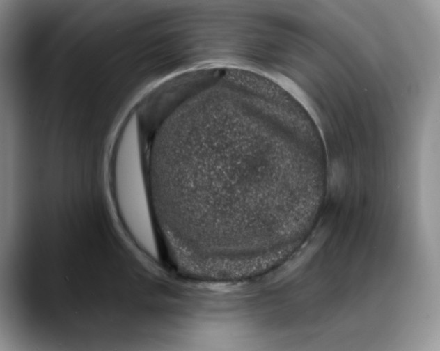 X0000088431005200706121447