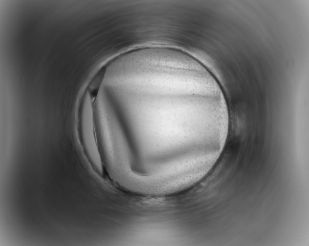 X0000088431006200706121447